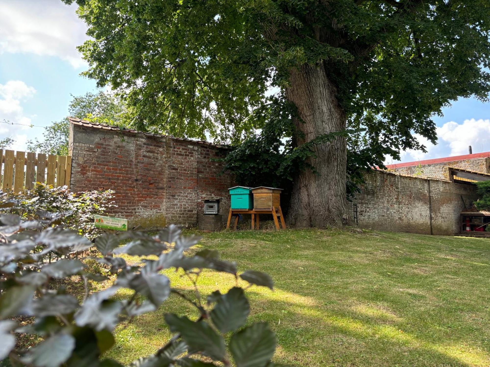 Logis Hotel-Restaurant - Le Moulin D'Artres Exterior foto